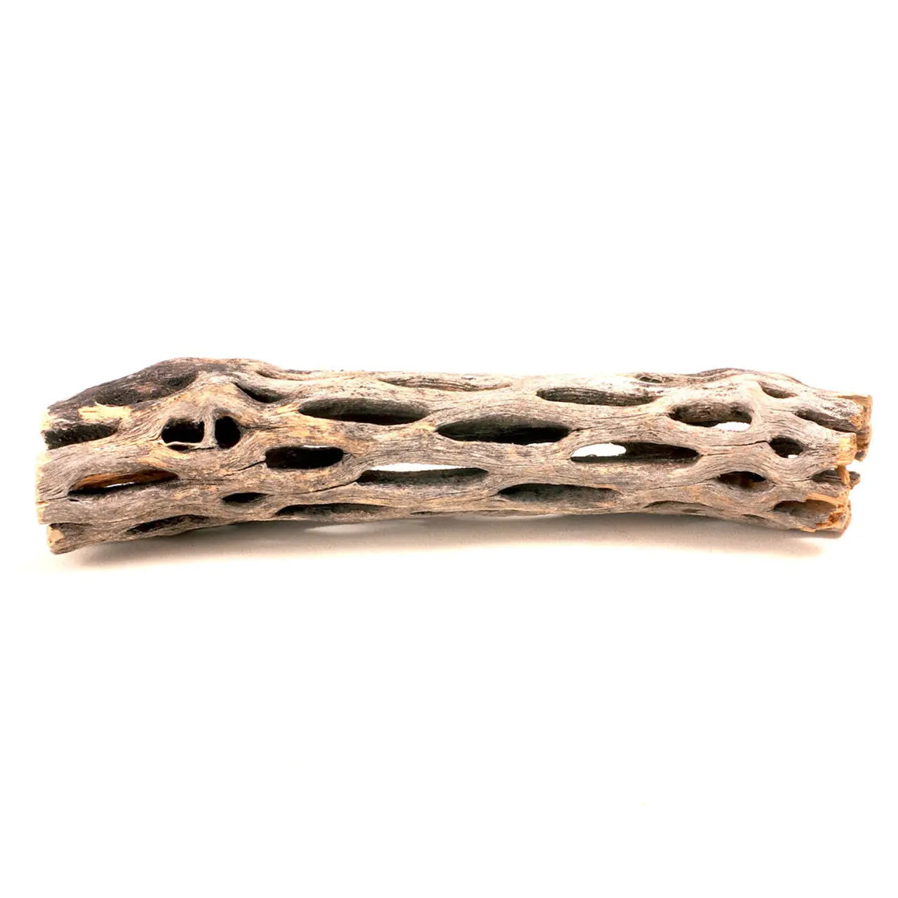 Cholla Wood 6” Tropical Treasures Wyo LLC