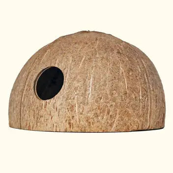 Coconut Hut – natural aquarium shelter made from coconut shell, fish- and shrimp-safe, available for in-store pickup at Tropical Treasures Wyo.