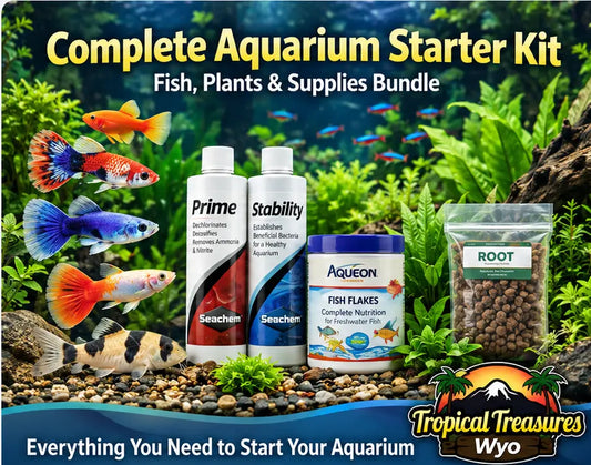 Complete Aquarium Starter Kit – Fish, Plants & Supplies Bundle at Tropical Treasures Wyo