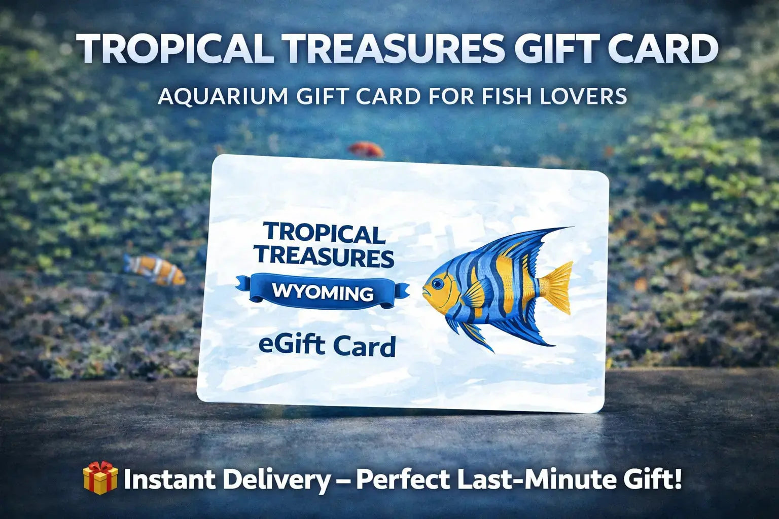 aquarium gift card tropical treasures wyo fish store digital gift card