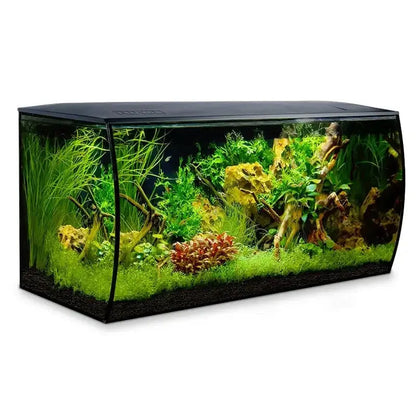 Fluval Flex 32.5 gallon black freshwater aquarium kit with green plants and aquascape