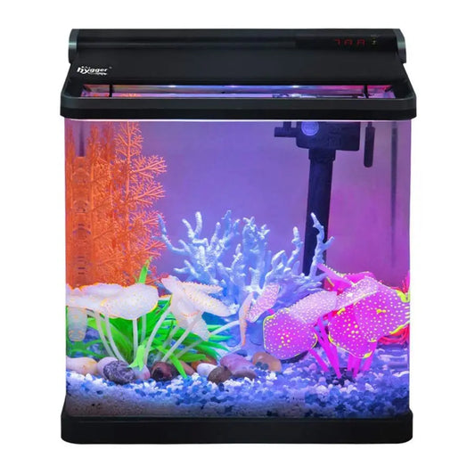 Hygger HG948 curve mini aquarium kit Tropical Treasures Wyo LLC