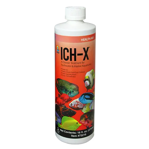 ICH-X 16 oz Tropical Treasures Wyo LLC