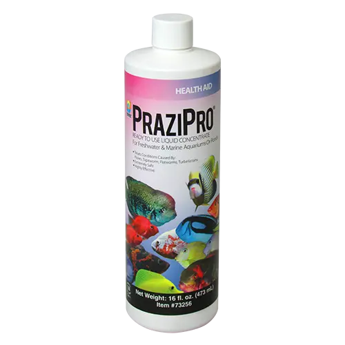 PraziPro 16oz Tropical Treasures Wyo LLC