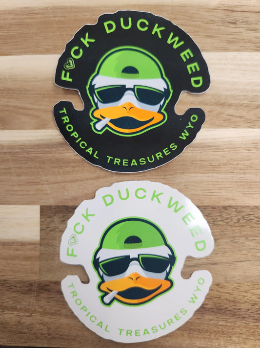 Duckweed vinyl decal designed for aquarium hobbyists and plant lovers